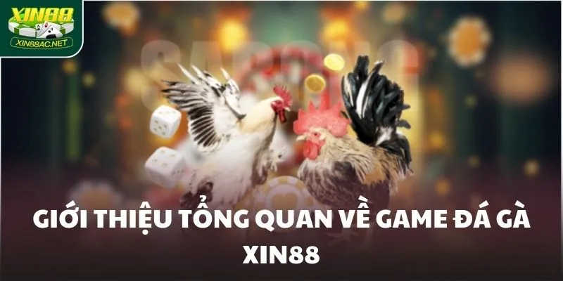 Giới thiệu tổng quan về game Đá gà XIN88
