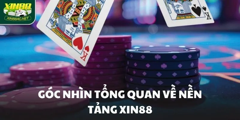 Góc nhìn tổng quan về nền tảng XIN88