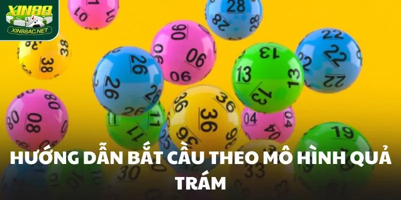 Hướng dẫn bắt cầu theo mô hình quả trám