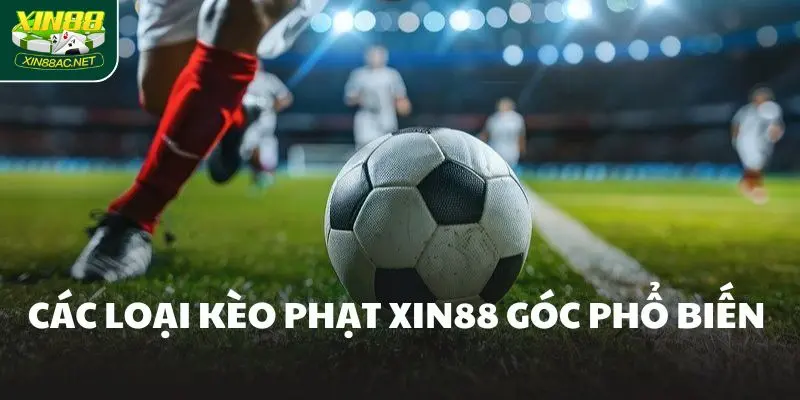 keo phat goc pho bien Các loại kèo phạt Xin88 góc phổ biến