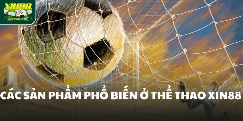 Các sản phẩm phổ biến ở thể thao Xin88 