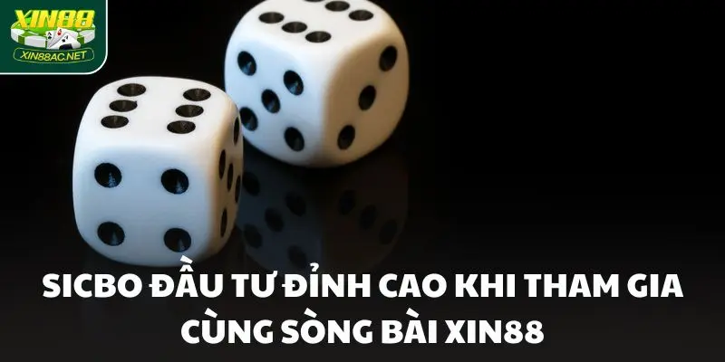 song bai xin88 dinh cao Sicbo đầu tư đỉnh cao khi tham gia cùng Sòng bài Xin88