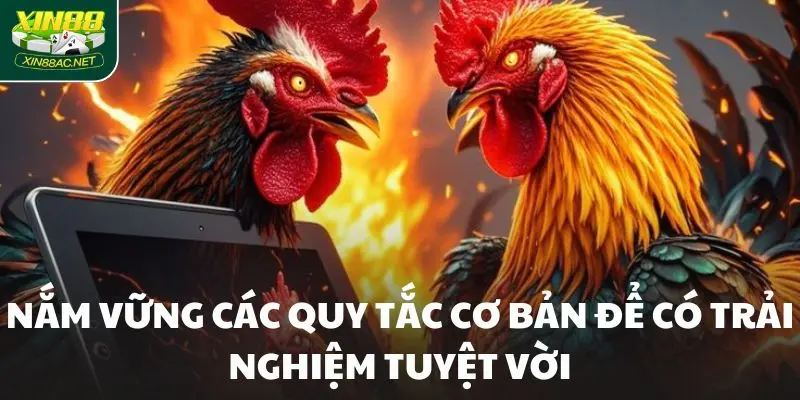 trai nghiem da ga cua dao Nắm vững các quy tắc cơ bản để có trải nghiệm tuyệt vời